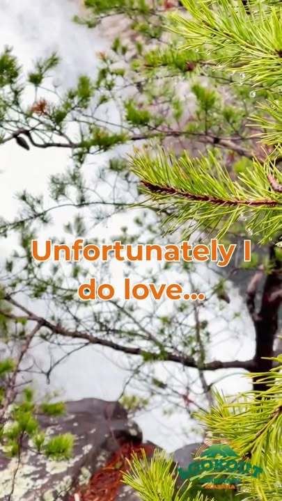 Lookout Mountain Alabama