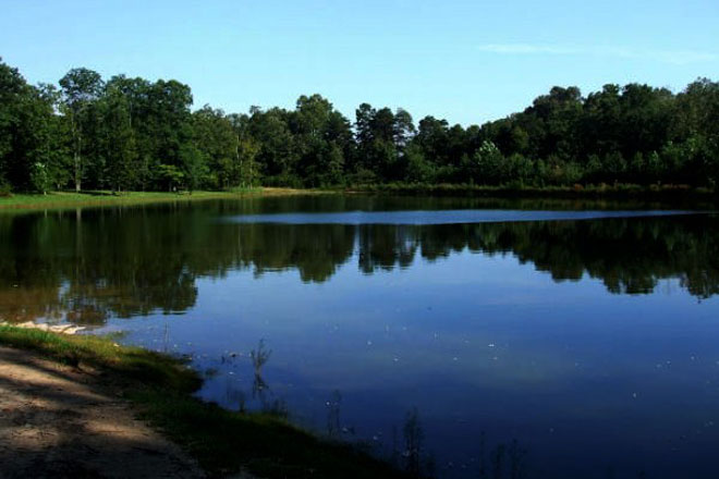 Tranquility RV & Campgrounds