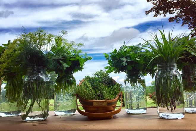 Windy Hill Farmers Market