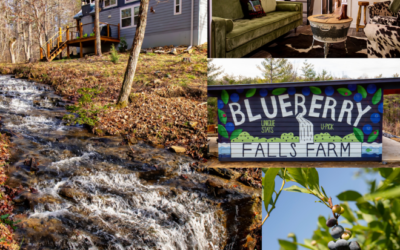 Blueberry Falls Farm