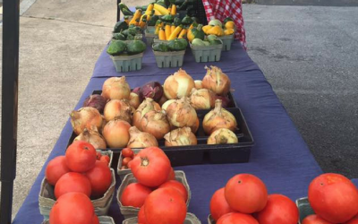 Geraldine Farmers Market