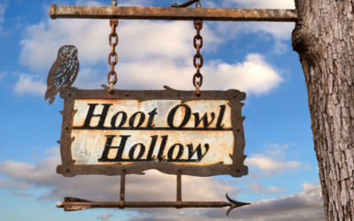 Hoot Owl Hollow