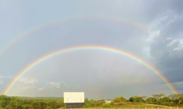 The Drive-In Theatre