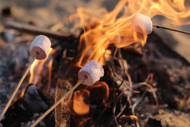 Hiking DeSoto State Park